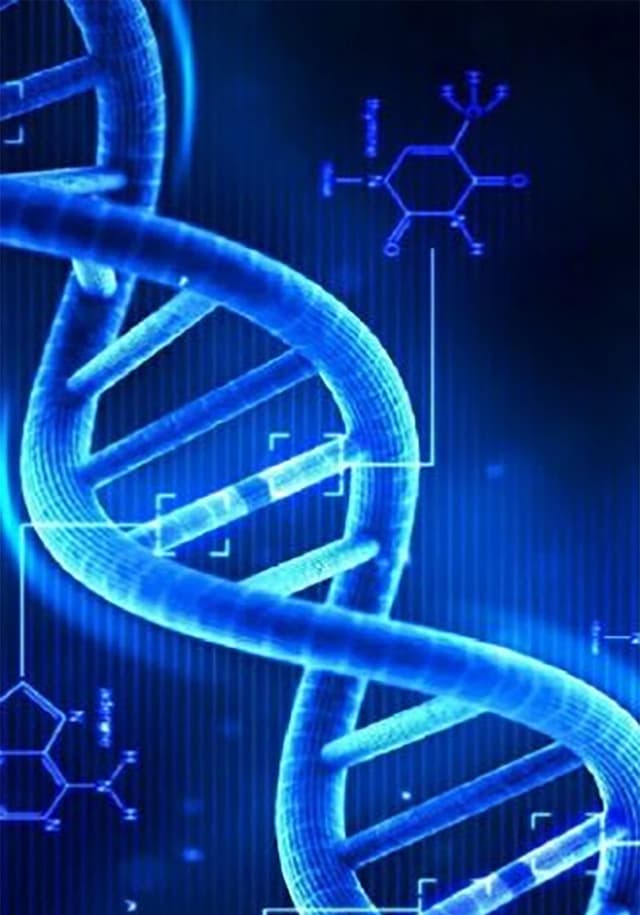 Company DNA